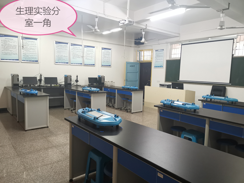 基礎醫(yī)學院實驗教學資源紀實 場地、設備與教學實踐